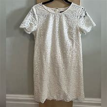 Ann Taylor Dresses | Ann Taylor 8P White Lace Shift Dress | Color: White | Size: 8P