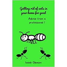 Getting Rid Of Ants In Your Home For Good: Advise From A Professional