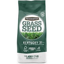 Pennington Kentucky 31 Tall Fescue Grass Sun Or Shade Grass Seed 7 Lb