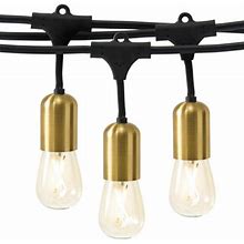 Brightech Ambience Glow 15-Light 48 ft. Outdoor Plug-In 2W 2700K LED S14 Hanging Edison Bulb String-Light, Glass In Black | 576 W In | Wayfair