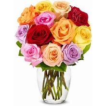 Flower Delivery - Send One Dozen Rainbow Roses