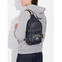 Coach West 3001 Backpack In Signature Canvas With Varsity Stripe