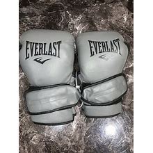 Everlast Powerlock Training Glove 16 Ounces Grey Boxing Gloves