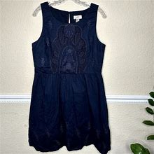 Loft Dresses | Ann Taylor Loft Navy Plated A-Line Sleeveless Dress Size 10 Emroidered Floral | Color: Blue | Size: 10