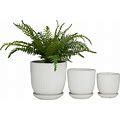 Porcelain Transitional Planters (Set Of 3) - 8", 6", 5"H