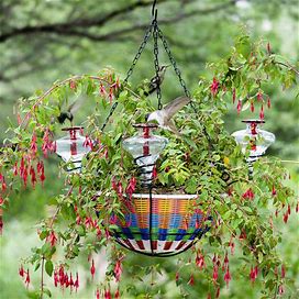 Hanging Basket Hummingbird Feeder | Feeders/Bird Houses | Unique Birdhouses And Bird Feeder Gifts | Uncommon Goods | Hummingbird Gifts | Holiday Gifts