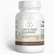 Lion's Mane Mushroom, Dietary Supplement To Stimulate Brain Health