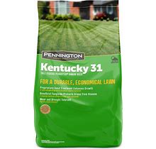Pennington Kentucky 31 Tall Fescue Penkoted Grass Seed 50 Lbs.