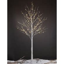 Lighted Tree 8ft 132 Led Lighted Birch Tree For Decoration Inside And