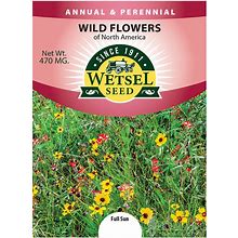 Perennial Wildflower North American Mix | Holland Bulb Farms