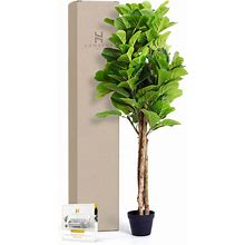 Homelux Theory Faux Fiddle Leaf Fig Tree, 5ft Artificial Plants Indoor House Plants, Small Artificial Fig Tree Floor Plants For Living Room Decor &