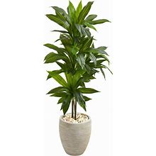 Artificial 4 ft Dracaena Palm "Real Touch" Plant In Sand Colored Planter