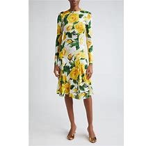 Dolce&Gabbana Rose Print Long Sleeve Dress In Rose Gialle At Nordstrom, Size 12 Us