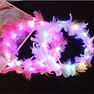 2Pcs Led Light-Up Fairy Feather Flower Crown And Angel Halo Headbands For Kids,