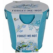 BUZZY Painted Flower Grow Pail | Forget-Me-Not | Best Gardening Gifts, Favors, Parties, Events, Unique, And Fun | Growth Guaranteed