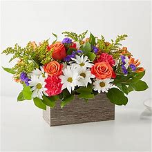 FTD Flower Delivery | Oopsie Daisy Box Bouquet | Daisy | Carnation | Alstroemeria | Solidago | Rose | White | Pink | Orange | Yellow | Purple