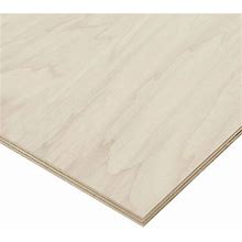 Columbia Forest Products 3/4 in. X 2 ft. X 8 ft. Purebond Poplar Plywood Project Panel (Free Custom Cut Available) 2984