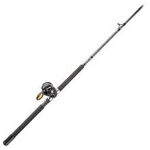 Offshore Angler Gold Cup Levelwind Reel And Rod Combo - GCP3663050