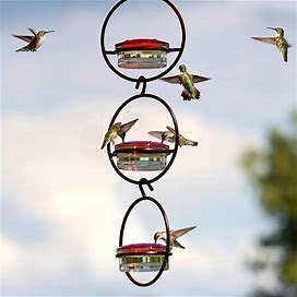 3Pcs Hanging Hummingbird Feeders, Humming Bird Feeder With Circular Metal Frame And Perch, Hummingbird Water Feeders,Temu