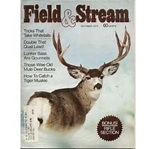 Vintage Field And Stream Magazine - October, 1973 - Acceptable Condition | Identi Card Co