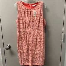 New York & Company Dresses | Ny & Co Pink Short Sleeveless Dress Sz 16 - Nwt | Color: Pink | Size: 16
