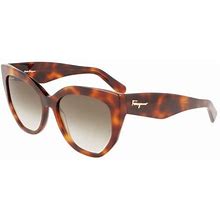 Salvatore Ferragamo Sunglasses SF1061S 240 Tortoise 56mm Female Plastic Brown