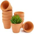 10 Pack Mini Terracotta Pots For Succulents, Small 2-Inch Clay Flower Pot Planters For Gardening, Red/Coppr