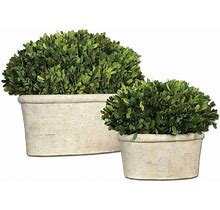 Oval Domes Preserved Boxwood, Set Of 2, Evergreen/Stone, Artificial Plants, By Uttermost