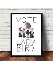 Image result for Lady Bird Poster