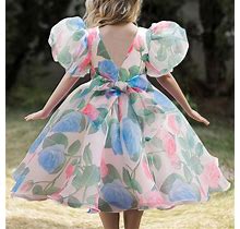 Baby Girls Cute & Elegant Flora Mesh Dress Princess Dress, Girls Dress Flower Print For Spring And Summer, Party,Light Green,Recommended,Temu