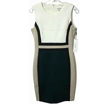 Calvin Klein Women's Sleeveless Color Block Sheath Dress (Size 12)