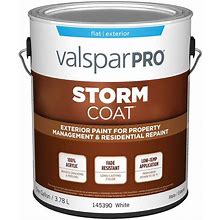 Valspar Pro Storm Coat Flat Exterior Paint - White - 1 Gal