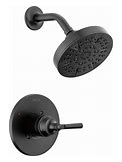 Delta Saylor Matte Black 1-Handle Multi-Function Round Shower Faucet Rubber | T14235-BL