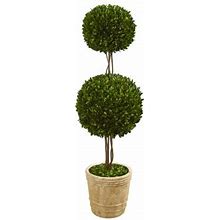 Primrue 4 Preserved Boxwood Double Ball Topiary Tree In Planter | 48 H X 13 W X 13 D In | Wayfair E8991f90cd24fc4f7e7becd845747070