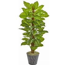 Nearly Natural Black 58 Inch Philodendron Artificial Plant In Embossed Planter (Real Touch)