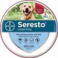 Seresto Collar For Large Dogs Over 18Lbs - 27.5 Inch (70 Cm) 1 Collar