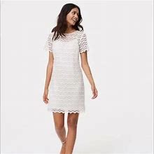 Loft Dresses | Spring Sale Loft Petite Chevron Lace Shift Dress (Price As Marked) | Color: Cream/White | Size: 4P