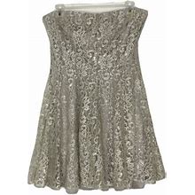 Cache Gray Lace Silver Metallic Strapless Fit And Flare Skater Dress
