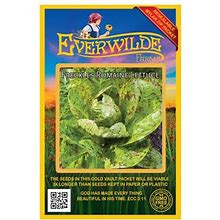 Everwilde Farms - 1000 Freckles Romaine Lettuce Seeds - Gold Vault Jumbo Bulk Seed Packet