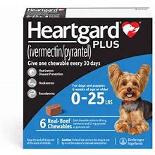 Heartgard Plus Chewables 6Pk Blue 1-25 Lbs For Dogs