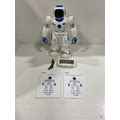Ruko Smart Programmable Interactive RC Robot With Voice Control (RU4413)