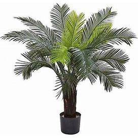 3 Cycas Palm Tree Uv Resistant