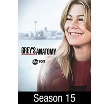 Grey's Anatomy: Season 15