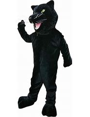 Image result for PJ Masks Mascot Costumes