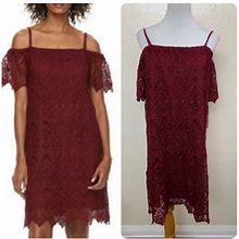 Hope & Harlow Women's Petite Off Shoulder Lace Dress Size 10P Autumn