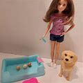 Barbie Barbie, Pets & Newborn Pups - Toys & Collectibles | Color: Blue