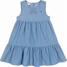 Calvin Klein Toddler Girls Sleeveless Chambray Ruffle Hem Dress - Blue - Size 4T