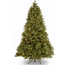Downswept Douglas Fir 7ft Prelit Artificial Christmas Tree (Used) ,