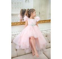 Belle Fay - Pale Pink Tutu Dress With Grey Lace And Tulle Pompons, First Birthday Dress, Flower Girl Dress, Custom Made Dress