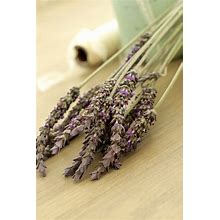 Fresh English Lavender Flower - 15 Stems (Free Shipping)